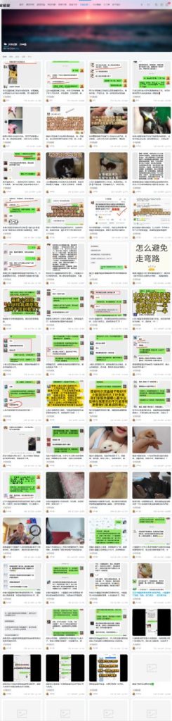 图片[9]-浙江小姐姐刚加上来两三天直夸我家服务售后好，急救厉害，好评反馈➕23🎉-【易客萌宠官网】