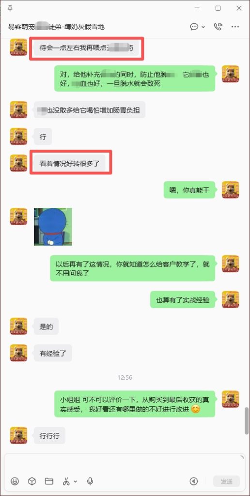 图片[5]-徒弟小松鼠拉稀瘫痪内出血急救，全程协助远程治疗，喜报加好评收获，➕24🎉-【易客萌宠官网】