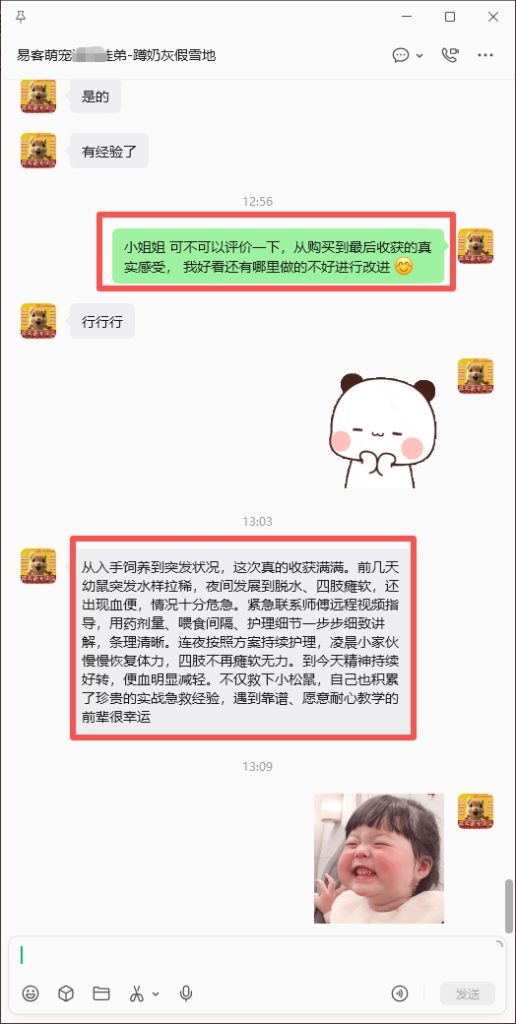 图片[6]-徒弟小松鼠拉稀瘫痪内出血急救，全程协助远程治疗，喜报加好评收获，➕24🎉-【易客萌宠官网】