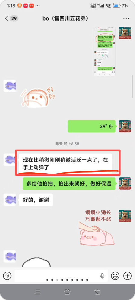 图片[2]-帮bo小姐姐救回呛奶小松鼠幼崽一只，功德和好评+1!!-【易客萌宠官网】