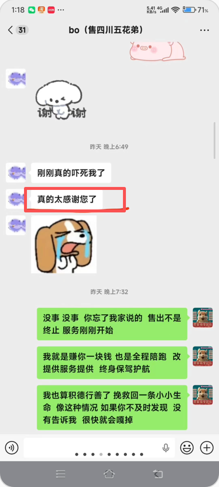 图片[3]-帮bo小姐姐救回呛奶小松鼠幼崽一只，功德和好评+1!!-【易客萌宠官网】