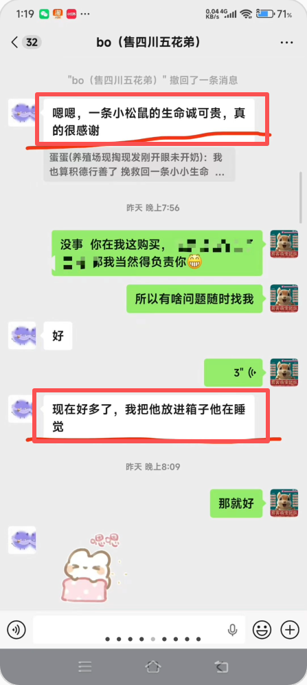 图片[4]-帮bo小姐姐救回呛奶小松鼠幼崽一只，功德和好评+1!!-【易客萌宠官网】