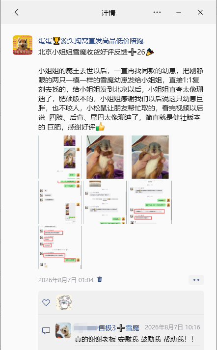 图片[7]-北京小姐姐雪魔收货好评反馈➕26🎉北京小姐姐找一只一模一样的像之前已故珊迪的雪魔，而且要最胖的，那就把最肥最胖最像珊迪的一只雪魔优先选给小姐姐，满足小姐姐心愿💗-【易客萌宠官网】
