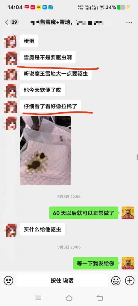 图片[6]-很多人不知道我家免费提供的售后教学陪跑服务有多累-【易客萌宠官网】