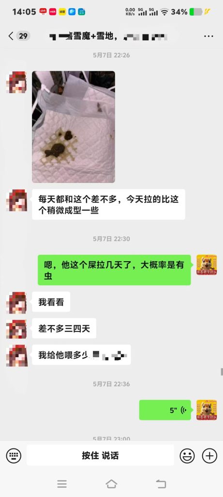 图片[7]-很多人不知道我家免费提供的售后教学陪跑服务有多累-【易客萌宠官网】