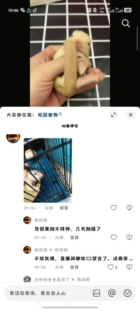 图片[2]-安徽小姐姐各种对比完小黄车卖货的，小姐姐说我们家，不管现掏现发未开奶的高品质，售后，服务，陪跑，一条龙全套服务都给大家准备好了，完全是新手无脑养成亲人粘人鼠-【易客萌宠官网】
