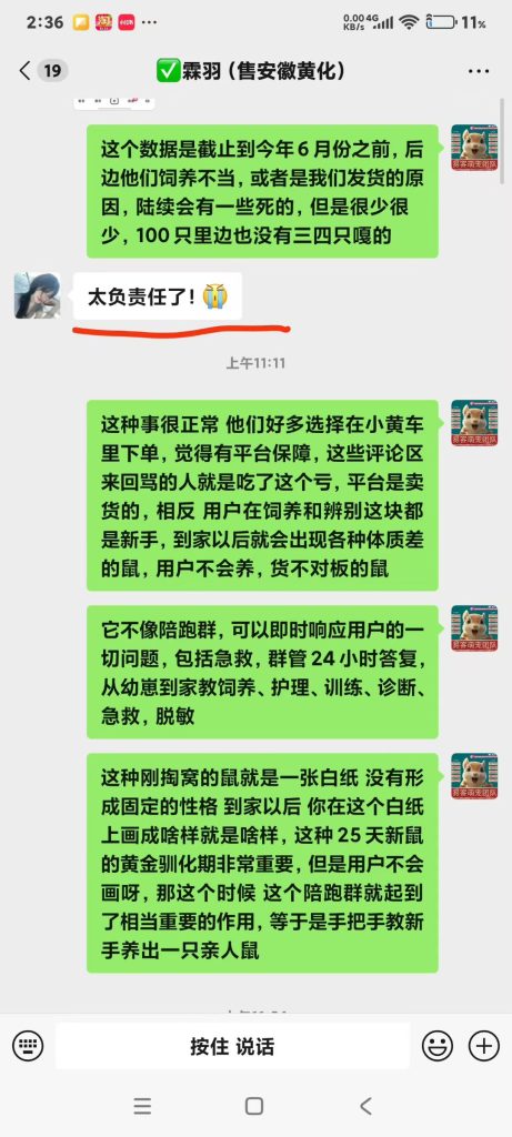 图片[6]-安徽小姐姐各种对比完小黄车卖货的，小姐姐说我们家，不管现掏现发未开奶的高品质，售后，服务，陪跑，一条龙全套服务都给大家准备好了，完全是新手无脑养成亲人粘人鼠-【易客萌宠官网】