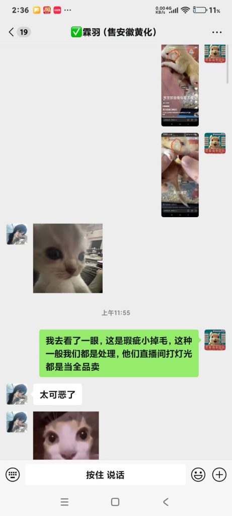 图片[7]-安徽小姐姐各种对比完小黄车卖货的，小姐姐说我们家，不管现掏现发未开奶的高品质，售后，服务，陪跑，一条龙全套服务都给大家准备好了，完全是新手无脑养成亲人粘人鼠-【易客萌宠官网】