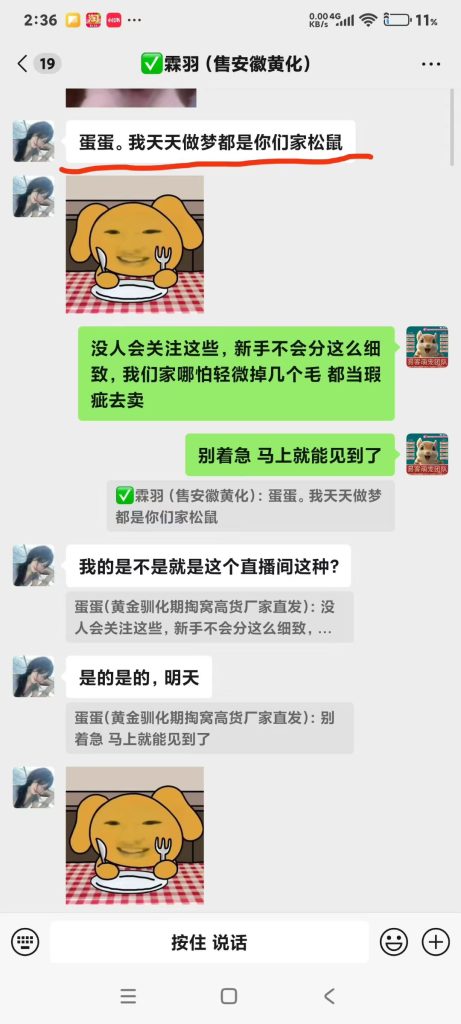 图片[8]-安徽小姐姐各种对比完小黄车卖货的，小姐姐说我们家，不管现掏现发未开奶的高品质，售后，服务，陪跑，一条龙全套服务都给大家准备好了，完全是新手无脑养成亲人粘人鼠-【易客萌宠官网】