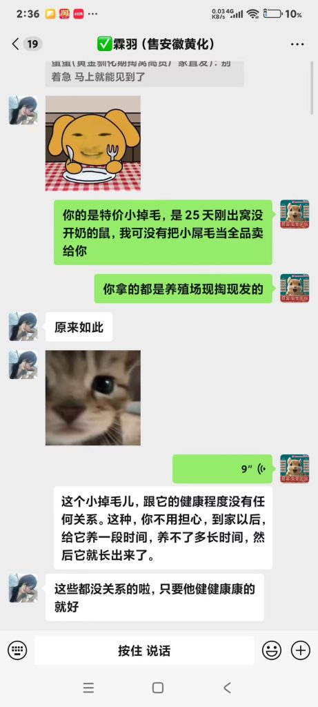 图片[9]-安徽小姐姐各种对比完小黄车卖货的，小姐姐说我们家，不管现掏现发未开奶的高品质，售后，服务，陪跑，一条龙全套服务都给大家准备好了，完全是新手无脑养成亲人粘人鼠-【易客萌宠官网】