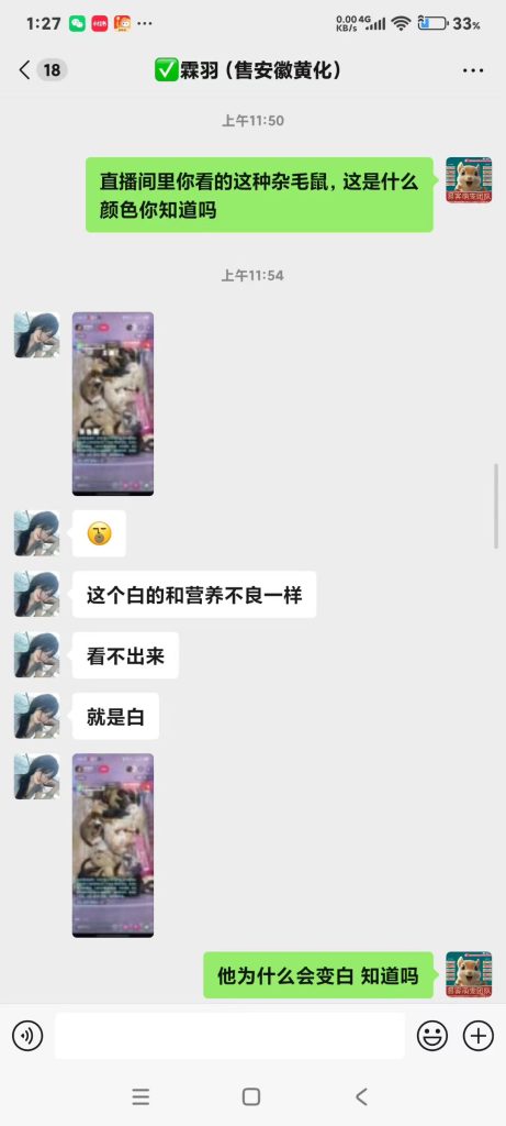 图片[3]-小姐姐看到直播间里的幼崽和我家养殖场直发的幼崽做全面对比，给出的评价-【易客萌宠官网】