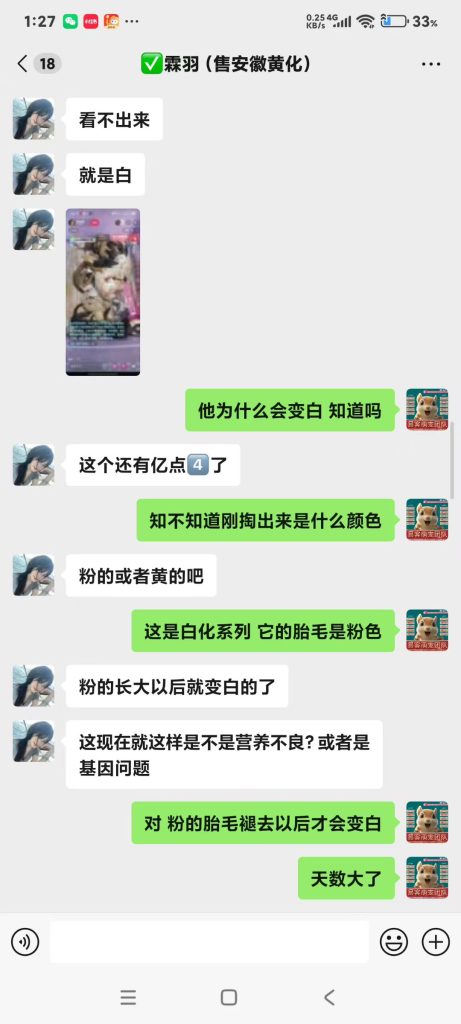 图片[4]-小姐姐看到直播间里的幼崽和我家养殖场直发的幼崽做全面对比，给出的评价-【易客萌宠官网】