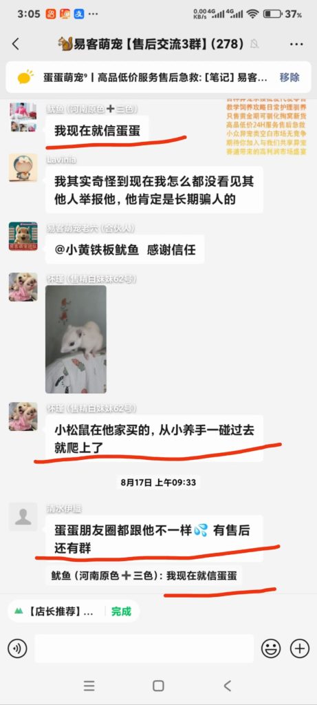 图片[9]-特别感恩各位伙伴的高度认可——主动为我们推广声量、积极互推新客、用心推荐萌宠，更在售后环节留下无数暖心好评，当外界对团队产生疑虑时，老用户们总会第一时间挺身而出，用专业与热忱为易客正名，这份并肩的情谊让我们倍感温暖！-【易客萌宠官网】