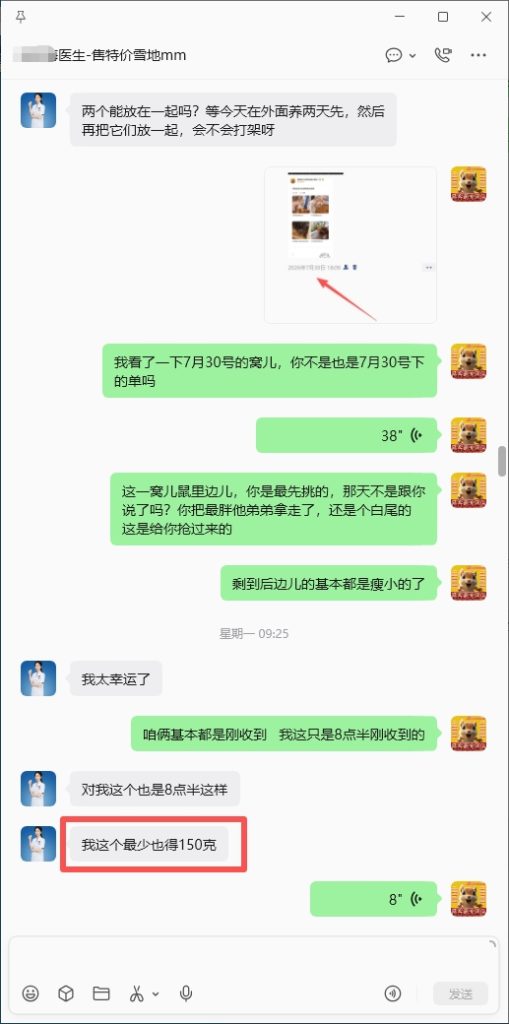 图片[2]-海南小姐姐为了感谢我把雪地松鼠从河北发到广东在托人转折到海南，雪地幼崽到家直接跟我姓，感谢对我家的认可。-【易客萌宠官网】