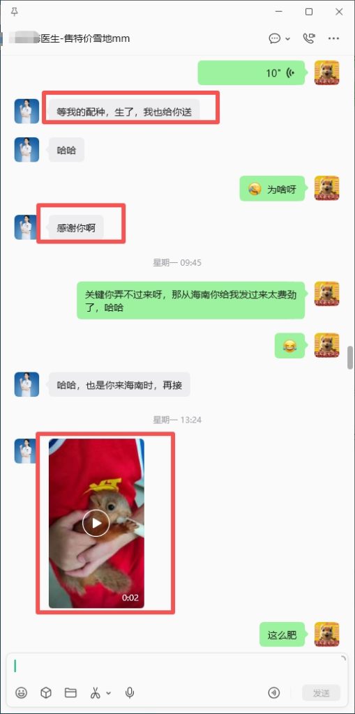 图片[3]-海南小姐姐为了感谢我把雪地松鼠从河北发到广东在托人转折到海南，雪地幼崽到家直接跟我姓，感谢对我家的认可。-【易客萌宠官网】