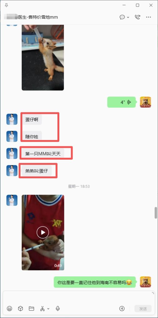 图片[5]-海南小姐姐为了感谢我把雪地松鼠从河北发到广东在托人转折到海南，雪地幼崽到家直接跟我姓，感谢对我家的认可。-【易客萌宠官网】
