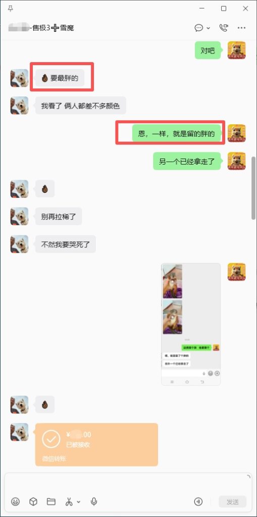 图片[2]-北京小姐姐雪魔收货好评反馈➕26🎉北京小姐姐找一只一模一样的像之前已故珊迪的雪魔，而且要最胖的，那就把最肥最胖最像珊迪的一只雪魔优先选给小姐姐，满足小姐姐心愿💗-【易客萌宠官网】
