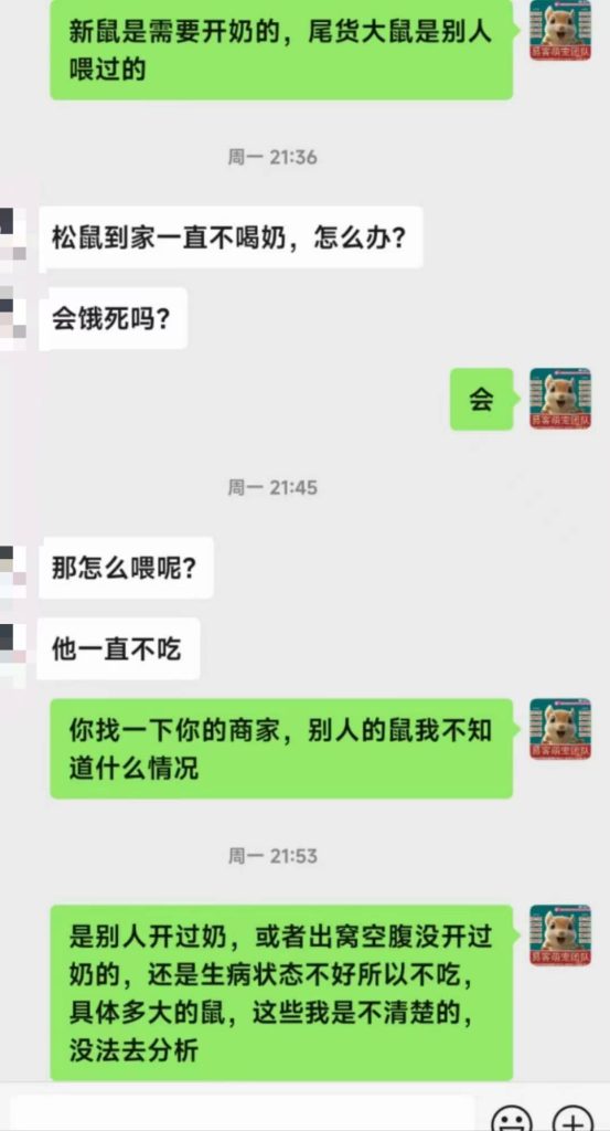 图片[9]-养松鼠，核心成本从来不是鼠本身的售价，是全天候应急急救、终身饲养指导、一对一售后兜底的专业保障。-【易客萌宠官网】
