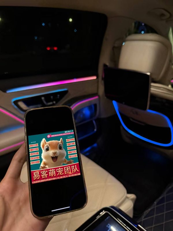 为什么全网购买萌宠都选择了易客萌宠？因为全网99％同行不做的事易客团队全免费做。-【易客萌宠官网】