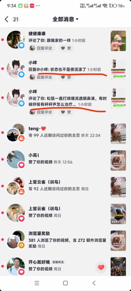 图片[1]-深究所有悲剧的核心：选购时只比价忽略售后，把鲜活的小生命当成一次性商品。-【易客萌宠官网】