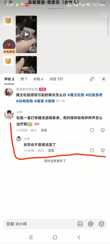 图片[2]-深究所有悲剧的核心：选购时只比价忽略售后，把鲜活的小生命当成一次性商品。-【易客萌宠官网】