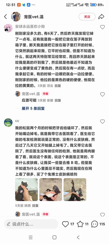 图片[6]-深究所有悲剧的核心：选购时只比价忽略售后，把鲜活的小生命当成一次性商品。-【易客萌宠官网】