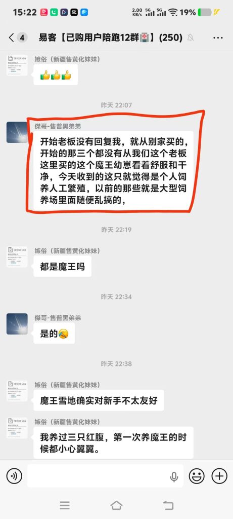 图片[1]-今日好评收获合集➕1[庆祝] ฅ՞•ﻌ•՞ฅ​感谢各位老板对易客萌宠家的支持[社会社会]-【易客萌宠官网】