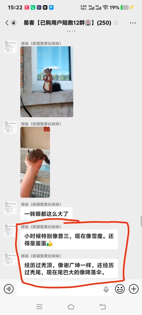 图片[2]-今日好评收获合集➕1[庆祝] ฅ՞•ﻌ•՞ฅ​感谢各位老板对易客萌宠家的支持[社会社会]-【易客萌宠官网】