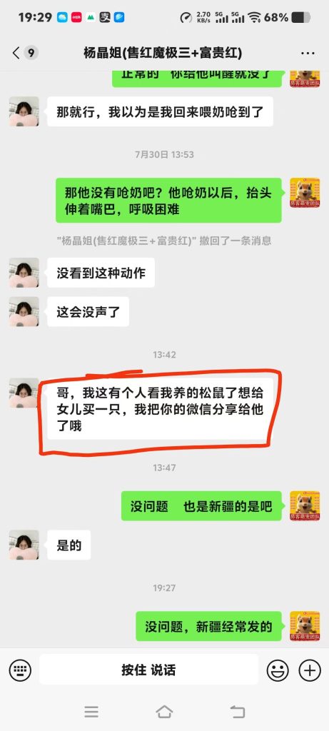图片[6]-今日好评收获合集➕1[庆祝] ฅ՞•ﻌ•՞ฅ​感谢各位老板对易客萌宠家的支持[社会社会]-【易客萌宠官网】