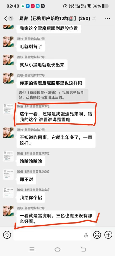 图片[9]-今日好评收获合集➕1[庆祝] ฅ՞•ﻌ•՞ฅ​感谢各位老板对易客萌宠家的支持[社会社会]-【易客萌宠官网】