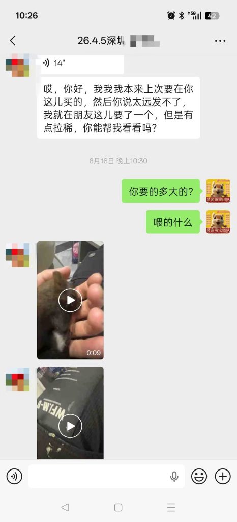 图片[1]-不是我家的鼠，既然碰上了那就要救-【易客萌宠官网】