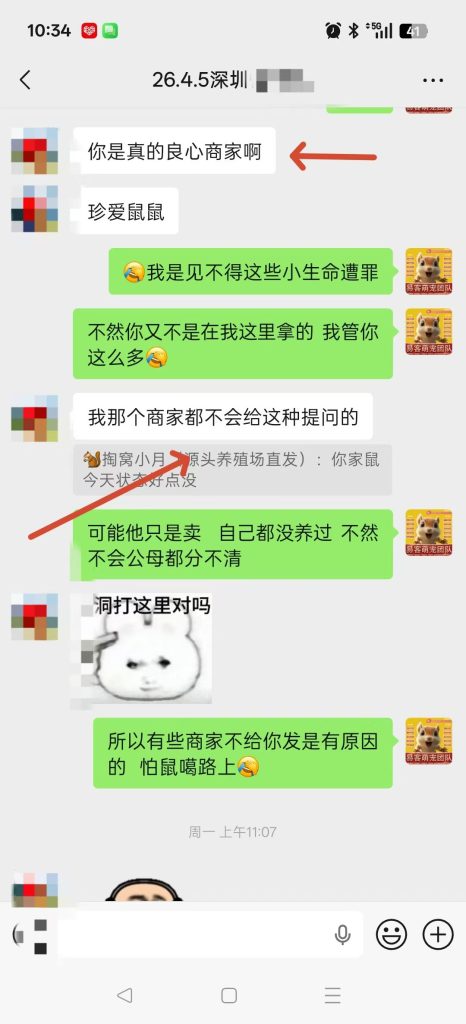 图片[6]-不是我家的鼠，既然碰上了那就要救-【易客萌宠官网】