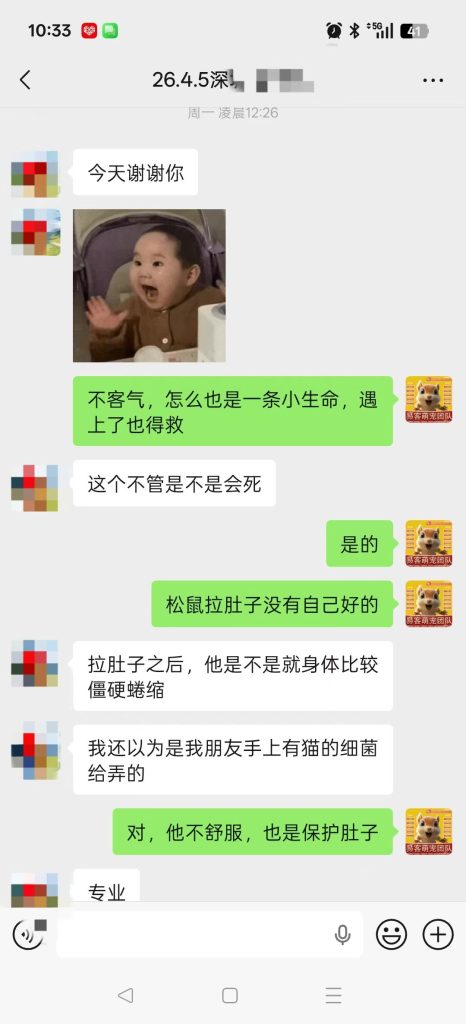 图片[8]-不是我家的鼠，既然碰上了那就要救-【易客萌宠官网】