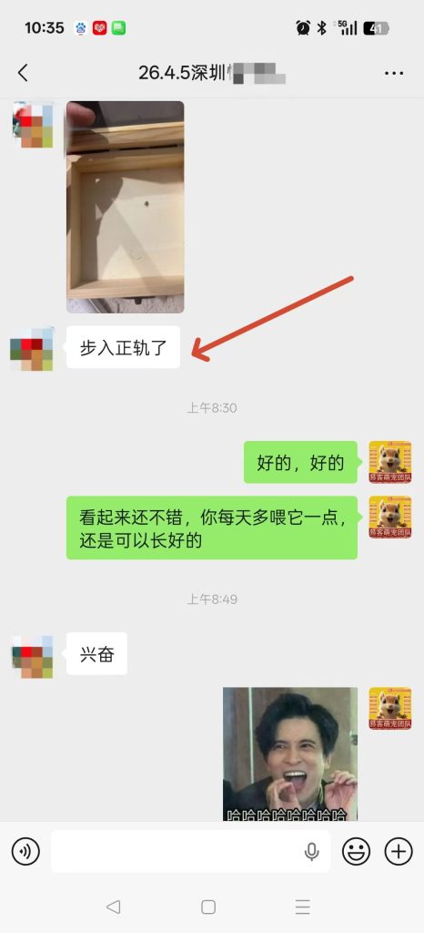 图片[9]-不是我家的鼠，既然碰上了那就要救-【易客萌宠官网】